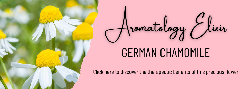 German Chamomile